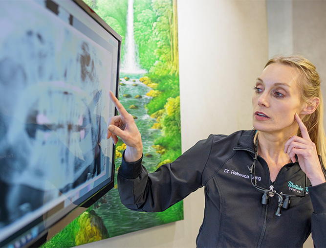 Dentist showing x-ray to patient