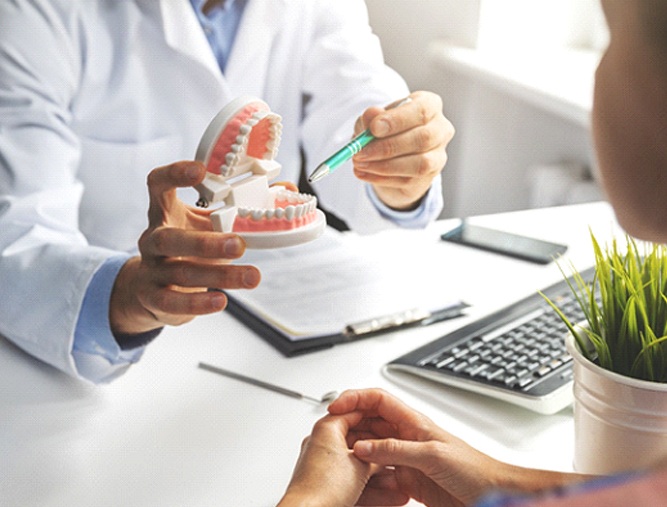 Dentist in Westlake Hills pointing to model of teeth